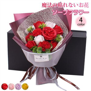 o^C ̓ \[vt[ ԑ Mtg u[P {bNXt[  V t[ TvCY Ό ͂Ȃ