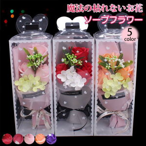 o^C ̓ \[vt[ ԑ Mtg u[P {bNXt[  V t[ TvCY Ό ͂Ȃ