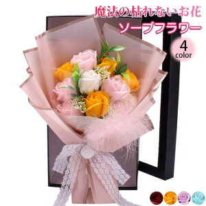 o^C ̓ \[vt[ ԑ Mtg u[P {bNXt[  V t[ TvCY Ό ͂Ȃ