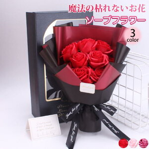 o^C ̓ \[vt[ ԑ Mtg u[P {bNXt[  V t[ TvCY Ό ͂Ȃ