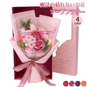 o^C ̓ \[vt[ ԑ Mtg u[P {bNXt[  V t[ TvCY Ό ͂Ȃ