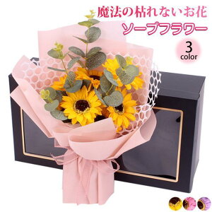 o^C ̓ \[vt[ ԑ Mtg u[P {bNXt[  V t[ TvCY Ό ͂Ȃ