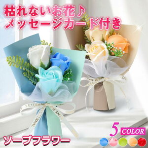 o^C 2_Zbg \[vt[ ԑ Mtg u[P ԑ   {bNX o Cxg ̓ v[g