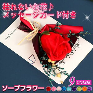 2_Zbg \[vt[ ԑ Mtg u[P ԑ   {bNX o Cxg ̓ v[g