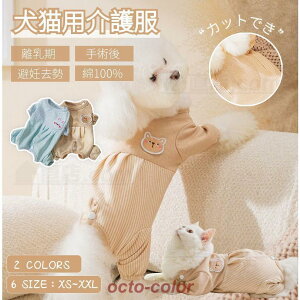 L pEFA  pEFA CklRLbgp㕞 p㒅 r߂Ȃ D  ނ jp  p㕞 pEFA 畆ی r ی