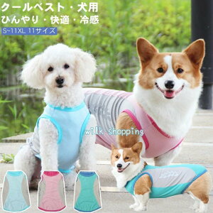 N[xXg ^ S`11XL MǑ΍ Ђ xXg ⊴  ^ ^ ڐG⊴ ybg ΍ ₷ L ĕ ΍ K EȒP
