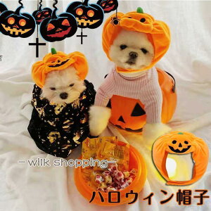 ybgXq  L ybg ybgJ{`̖Xq ߑ Xq  L