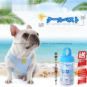 p N[xXg  ybgN[xXg ⊴ p COOLxXg ⊴xXg t`uhbO Up MǑ΍ 悢Ђ芴  tu