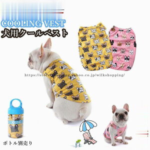 p N[xXg  ybgN[xXg ⊴ p COOLxXg ⊴xXg t`uhbO Up MǑ΍ 悢Ђ芴  tu