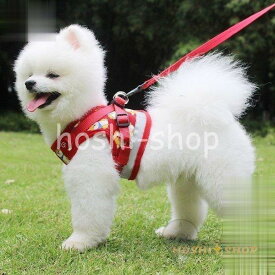 ハーネス 犬 リード付 ペット ソフトハーネス 胴輪 メッシュ素材 ベスト 小型犬 中型犬 大型犬 犬用 リード ペット用品 犬用品 猫 キャット