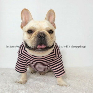  t`uhbO   TVc {[_[ tu  hbOEFA 