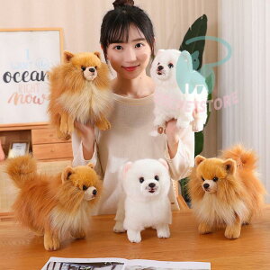 ʂ |jA  A { X   Ck̒u  ӂӂ _炩 n  CeA a 蕨