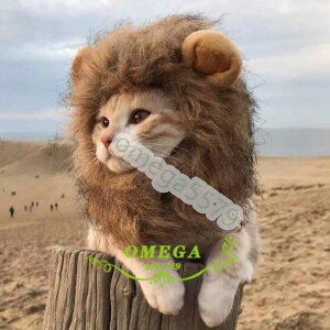 ybgpXq  LpEBbO ybgp EBbO RXvLbv CIɕϐg Xq  nbg  \ Ԃ t EȒP