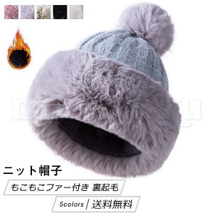  jbgXq fB[X n t@[t ||t N   h΍ g AEghA ꂢ 