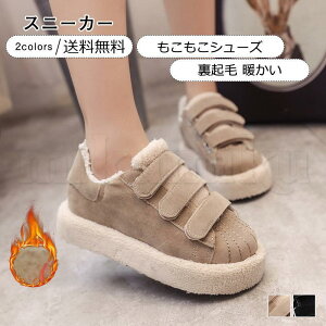  Xj[J[ fB[X V[Y N tbg g ₷ ₷ h AEghA ~p ꂢ 