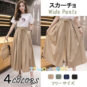 Chpc fB[X 304050 EGXgS  {gX XJ[g ̌^Jo[  H  㕪 KE`