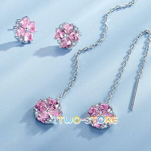 sAX fB[X 3040 t[    sN_C Vo[925 v`idグ t  av[g ̓Mtg