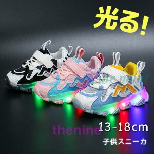 C LN^[Xj[J[ xr[ LbY ubN sN bh LED CgV[Y qC j̎q ̎q v[g Mtg