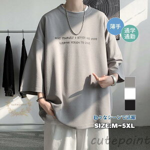 tVc z ⊴ Vv  I[o[TCY fB[X Jbg\[  ʋ ʊw 傫TCY