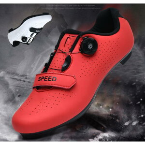 StV[Y Y _C Xj[J[ y L ^C jOV[Y EH[LO WMOV[Y AEghA X|[c ʋC RۏL