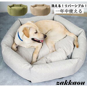 �� �x�b�h ��^�� �y�b�g�x�b�h �x�b�g �t�� ������� �y�b�g �n�E�X �~�` ���� ���^�� ���^�� �N�b�V���� �􂦂� �ӂ�ӂ� �L �L�x�b�h �L�p ���킢�� ����~��