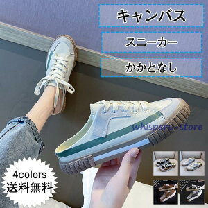 Xj[J[ fB[X T_ LoX ƂȂ [Jbg JWA ɂ ₷ r AEghA 21NtV ꂢ 