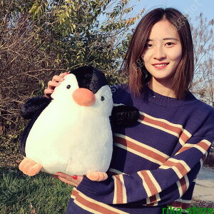 ʂ    q ₷ 傫 }CtY ӂӂ  _炩 Sn l Vl Mtg u X aMtg