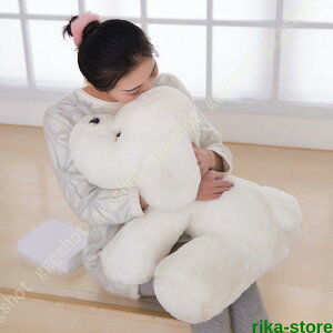 ܂ ʂ   킢 ӂӂ tt ʂ  zCg 傫  40cm  zCg D ܂ YQ