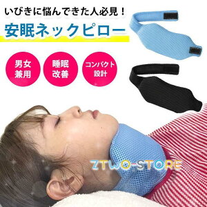 スリープエンリッチ ネックフリーピロー 専用カバー付 2個セット 枕 