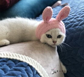 ペット 猫 帽子 衣装 仮装 コスチューム 写真撮影 小道具 かわいい ユニーク おしゃれ ドレスアップ