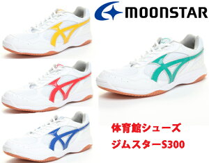 [X^[@̈كV[Y@WX^[S300㗚wZp