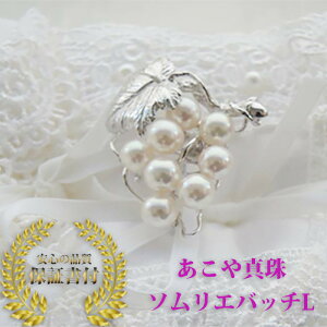 [yߑO11܂łɂœz\Gob`L ɐuY ^ u[` 6`7mm y^̊X_˂̐^쉵 ؐ^쒼zuhE Ԃǂ O[v AR AR^ {