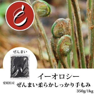 QY ܂ _炩 z   oVƏ C[IV[ ܂ R     [}C VR Y Y   ϕ  V Ɩp ֗ HcY 