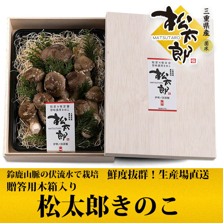 楽天市場】贈答用木箱入り 松茸×しいたけ菌 高級 松太郎きのこ 【生産 