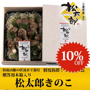 yX[p[SALEԌ10OFFzpؔ  Ŷؔ yY꒼zyOdzy×őznCubĝ N A`GCWO H@ r^~ 