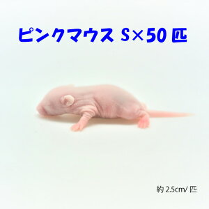 冷凍ピンクマウスS(50匹)約2.5cm/匹 冷凍マウス 冷凍餌 エサ 猛禽類 爬虫類 両生類 大型魚の肉食ペット用 クール便発送