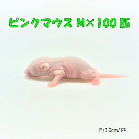 冷凍ピンクマウス M　100匹