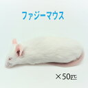 冷凍ファジーマウス (50匹)約5.5cm/匹 冷凍マウス 冷凍 ネズミ 餌 冷凍ネズミ エサ ホワイトマウス 冷凍餌 エサ 猛禽…