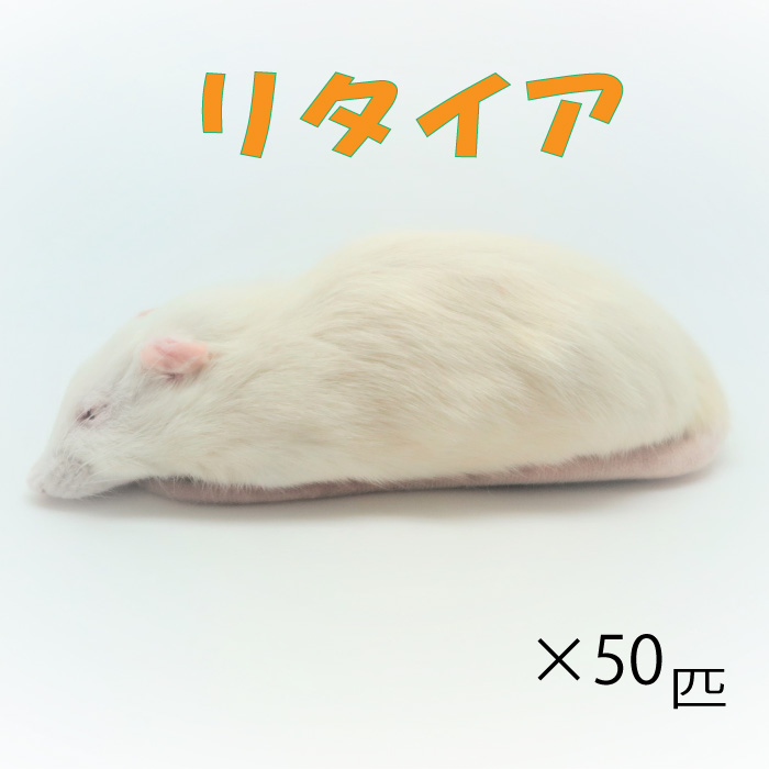 楽天市場】冷凍リタイアマウス (50匹)約10.0cm/匹 ☆富城 冷凍マウス