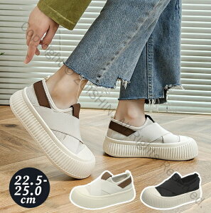 Xb| Xj[J[ fB[X  5cm UP RȂ Soh y EH[LOV[Y r ~ ʋC ʋ ʊw JWAV[Y