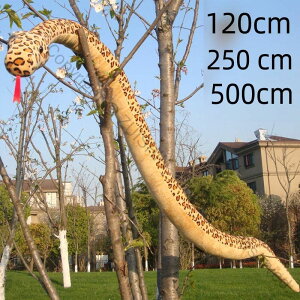  ւ wr 傫 ʂ  xbh  ӂӂ ߋ ̎q  킢 j̎q  Mtg A CeA J[L zCg O[ ubN O[ zC