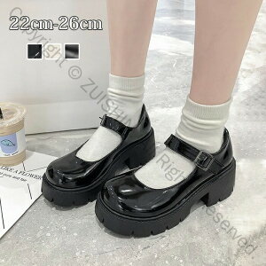 [t@[ EhgD  pvX 5cm q[ fB[X Xgbv  ubN  `L[q[ XgbvtV[Y  r ׌ Vv w C l  