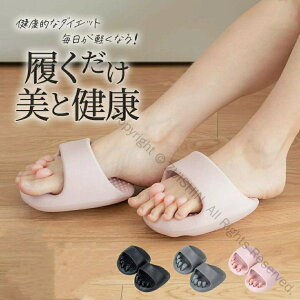 _CGbgXbp  􂦂 ̊T|[g ȒP ƌNi [V[Y NT_ 킢 p r p ނ݉P }bT[W c{ fB[