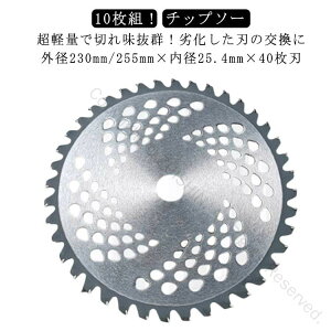 10 ւn Zbg 255mm `bv\[ @p 25cm 40n n Օi p 23cm y d@֐n 230mm `bv d @p[c