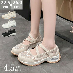 Xj[J[ fB[X ^V[Y [X bV [WF[ 4.5cm r GA[ Xgbv ₷ y Ȃ ؍  i[XV[Y EH[LO Ȃ