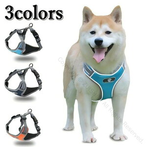  n[lX[h n[lX[hZbg  n[lX [h Ck hbO dog ˃GbW ^p ybgp U o ȒP V ϋvfގdl SK݌v