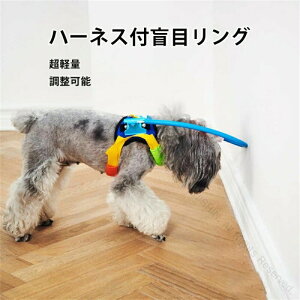 ӖڃO tFCXK[h Z[tO ӌ Փ˖h~ \ XXS`LTCY یxXg XgX y ʋC  L  ڂ̕sR  oQ ݑPA[ O n[