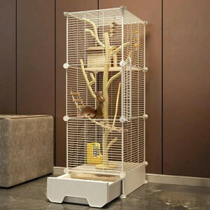 XP[W 3i 37×37×125cm ^ Ԑ\ ogCt tNK V}X fO[ tFbg pP[W S݌vŉKԒ 127cm