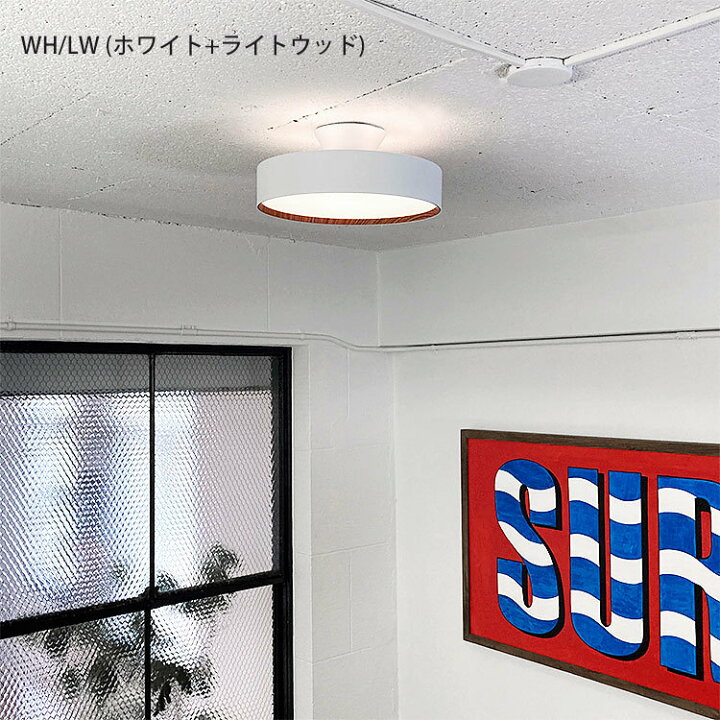 楽天市場】クーポン対象外【artworkstudio（ア−トワークスタジオ 