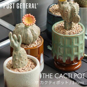 �y�}���\�����Ԓ��|�C���g5�{�zPOSTGENERAL THE CACTI POT / 3item �U�J�N�e�B�|�b�g 3�A�C�e�� �T�{�e�� ���퐻 �t�F�C�N �͂�Ȃ� �����s�v �ϗt�A���� �C���e���A�I�u�W�F �O���[���I�u�W�F �|�X